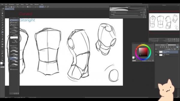 How to draw basic anatomy