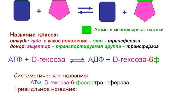 Лекция по Биохимии №1, часть 3 смотреть онлайн