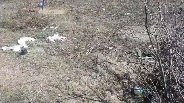 Наконец-то коровы дома, первая постройка для коров смотреть онлайн