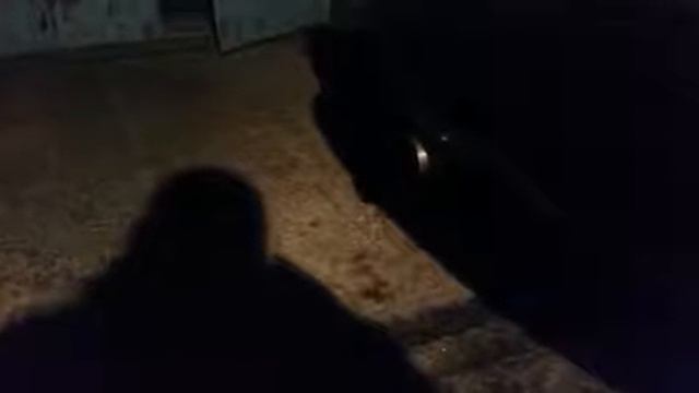 2004 Škoda Octavia RS - 3'' Custom Exhaust