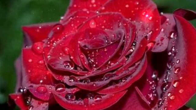 Именины у Ирины! День ангела Ирины! смотреть онлайн