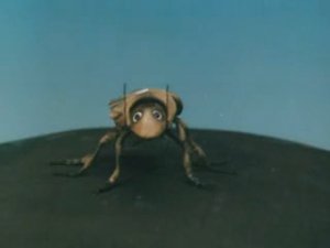 КОАПП. Разными глазами