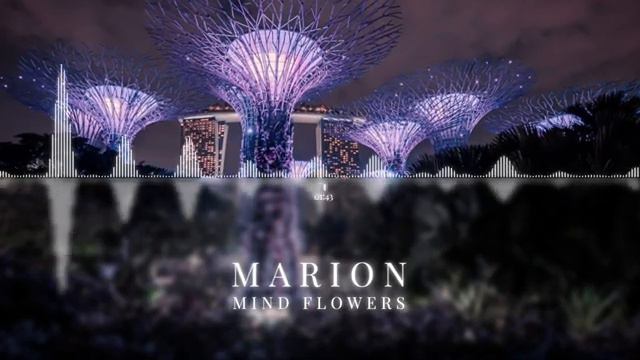 MARION - Mind Flowers