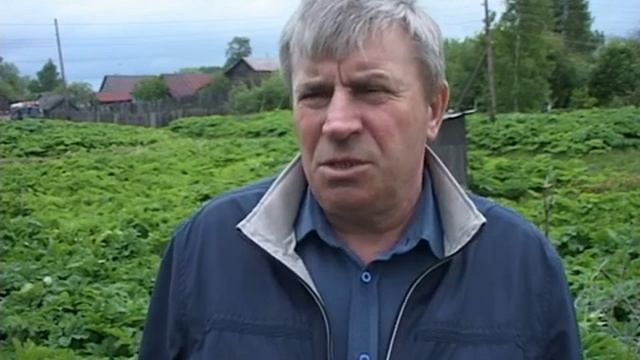 Борщевик смотреть онлайн