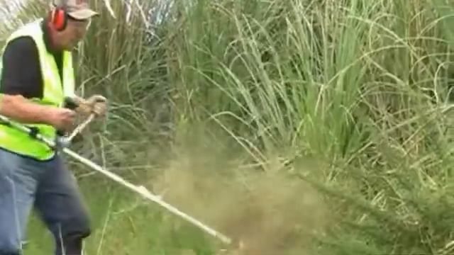 КАКАЯ МОТОКОСА ЛУЧШЕ ДВУХТАКТНАЯ ИЛИ ЧЕТЫРЕХТАКТНАЯ смотреть онлайн