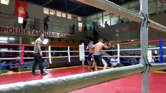 Сейтов шабдан Барс токмок