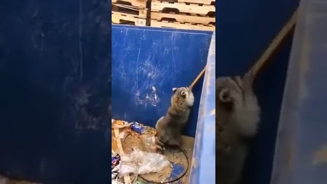 смекалка смотреть онлайн