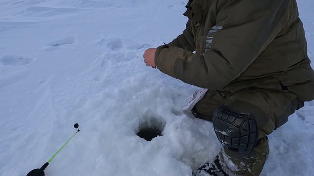 Трофейный ГОЛЕЦ на КРАЮ ЗЕМЛИ смотреть онлайн