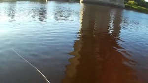 Тестирую бюджетный спиннинг MAXIMUS AXIOM ML210 5-25. Спиннинг Разловлен!