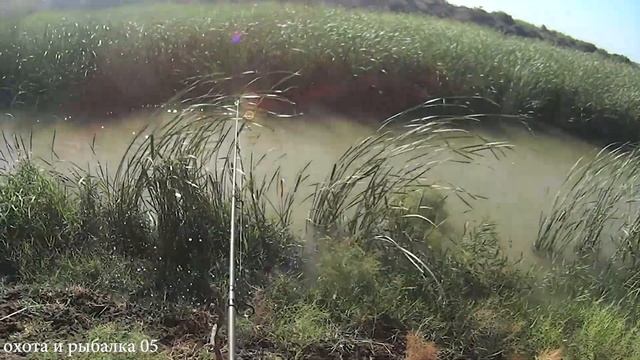 Рыбалка на сазана хороший клев смотреть онлайн