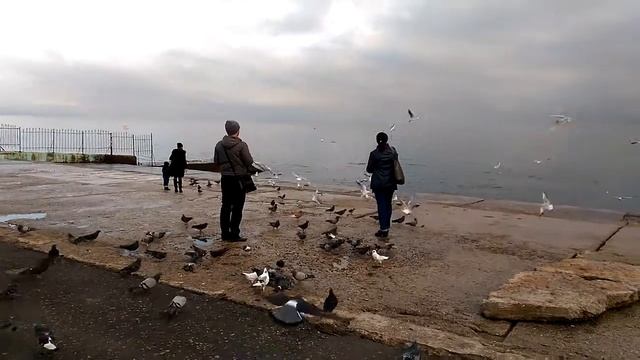 Алушта декабрь смотреть онлайн