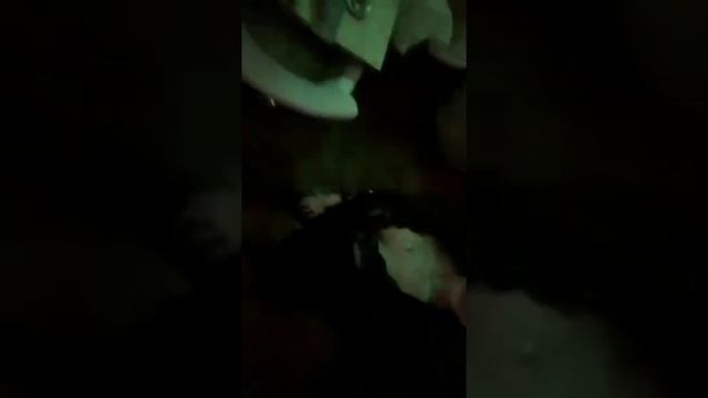 Татьяна Строкова и Юлия Белая в сторис 07.12.2019. смотреть онлайн