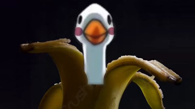 Вы их любите я да