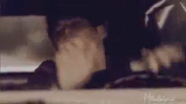 Вази фази кью кью смотреть онлайн