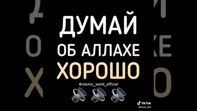 Думай об Аллахе хорошо! смотреть онлайн