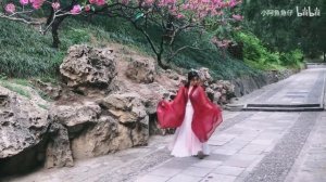 Классический китайский танец