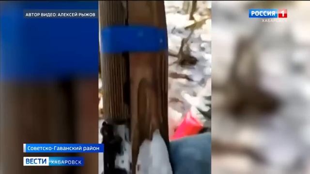 Был ли тигр? Обстоятельства гибели охотника в Хабаровском крае проверит Следственный комитет смотреть онлайн