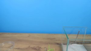 МЕНЯ УКУСИЛ ЗА ПАЛЕЦ БОГОМОЛ! Я ОЧЕНЬ ИСПУГАЛСЯ!