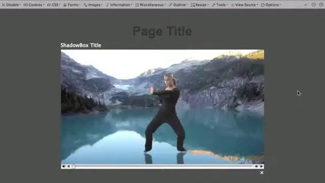 Embed FLV Video in a Web Page with the JW Player смотреть онлайн