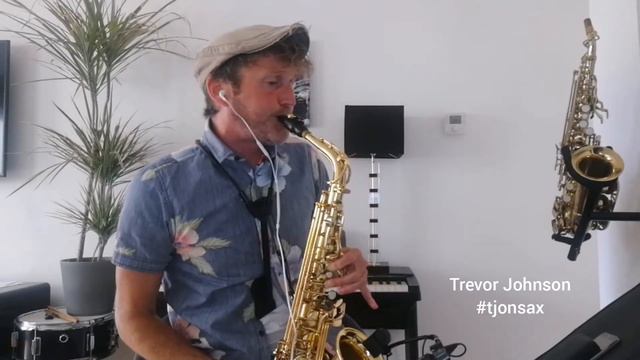 Fields of gold - alto sax solo смотреть онлайн
