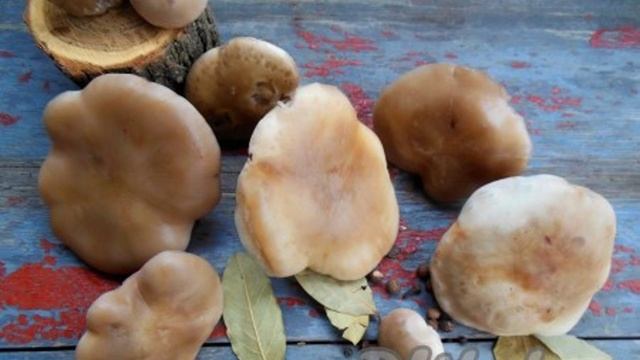 Кухня Мамашки