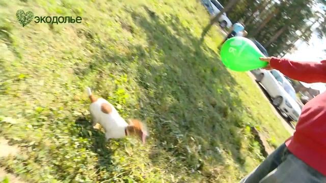 Видеоновости из ЖК Экодолье Екатеринбург. Выпуск № 7 смотреть онлайн