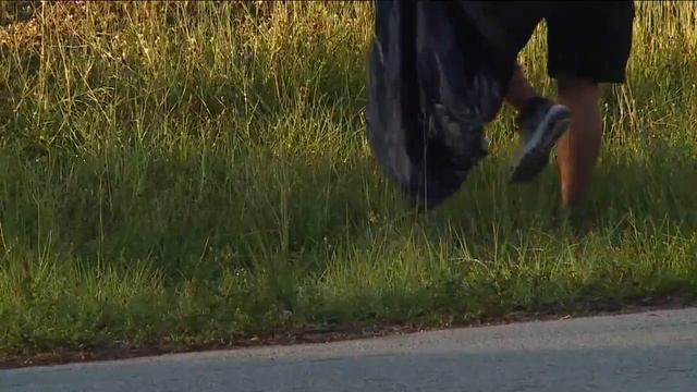 City of Cape Coral Hosting a Clean Up Event смотреть онлайн