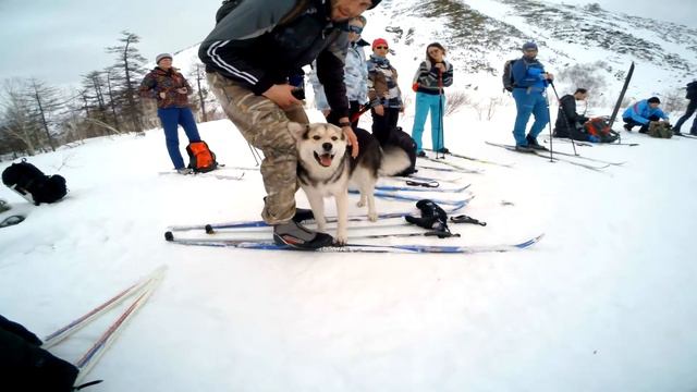 Лыжная весна смотреть онлайн