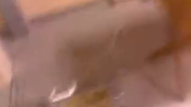 Страшная правда про кролика.... смотреть онлайн