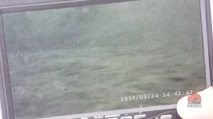 Реальный тест подводной камеры на глубине 9 10 м в экстремальных условиях