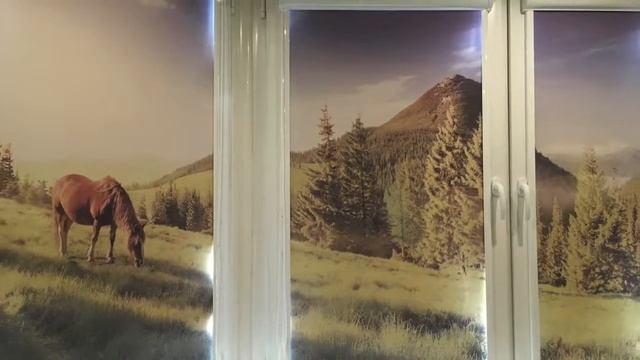 Рулонные шторы для пластиковых окон с фотопечатью смотреть онлайн