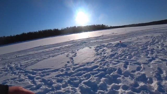 Последняя Ловля щуки на жерлицы 2022 на Севере. смотреть онлайн