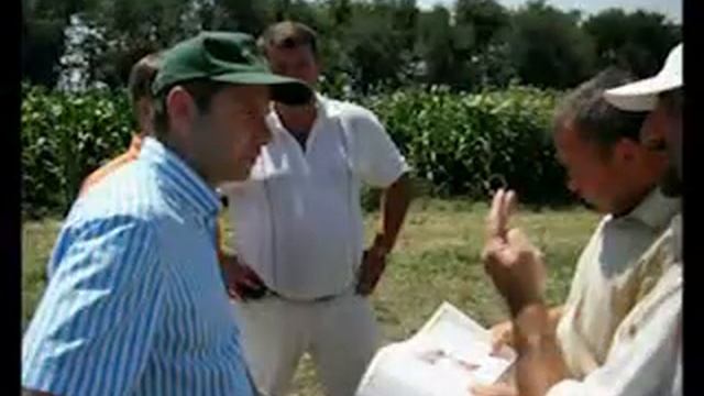 Семеноводство сорго смотреть онлайн