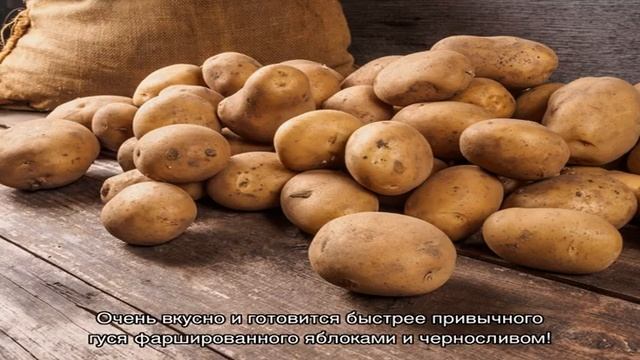 Осьминог в томатном соусе в духовке смотреть онлайн