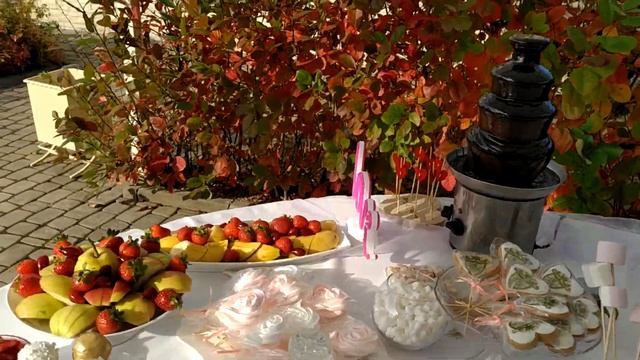 Кэнди бар на шикарной свадьбе, шоколадный фонтан смотреть онлайн