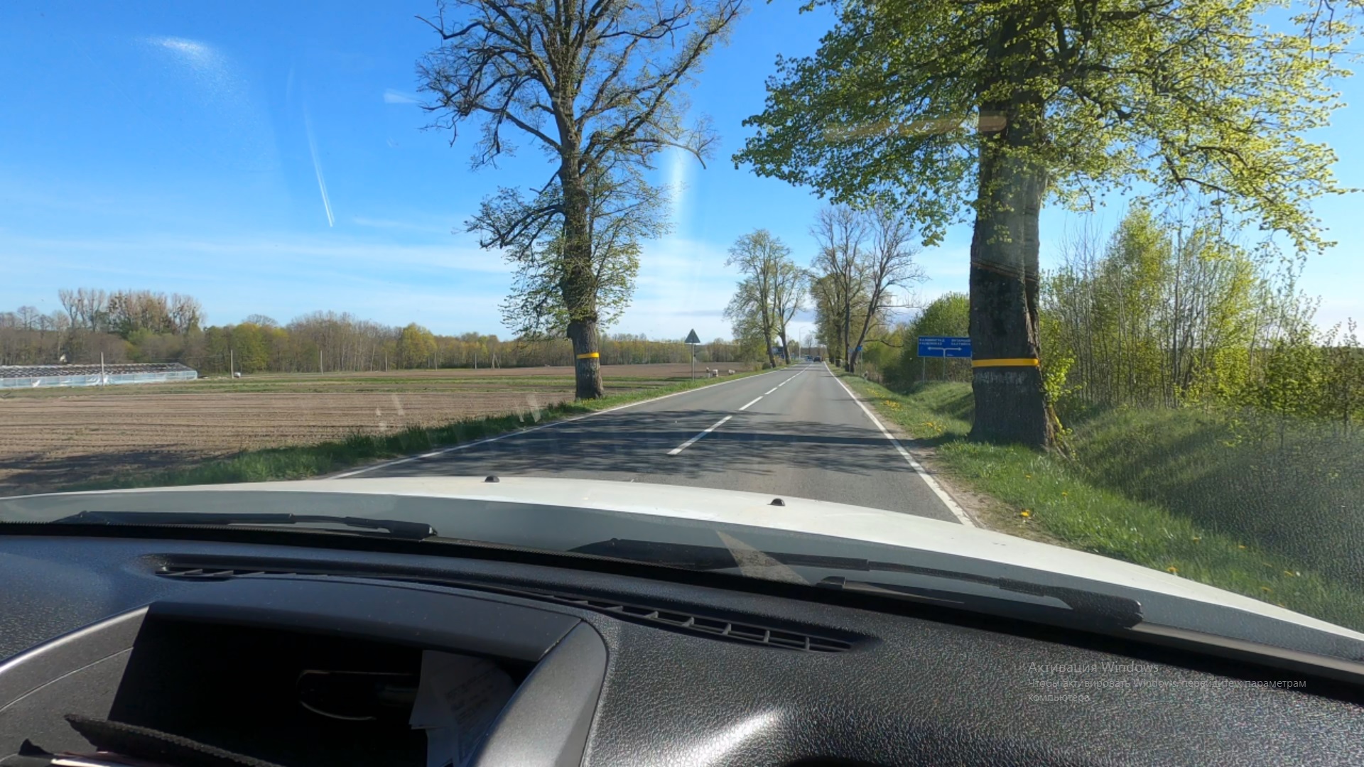 Поездка к морю по комфортным дорогам (старым немецким) в Калининградской области смотреть онлайн