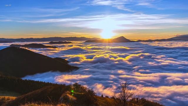 Tibetan Healing Sounds: Singing Bowls, Bell Sound For Remove All Negative Energy