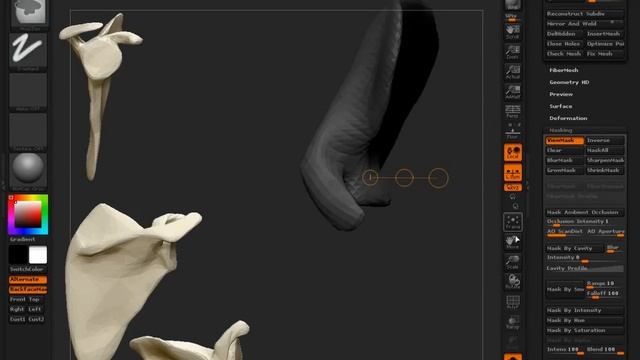 24 Scapula & Clavicle смотреть онлайн