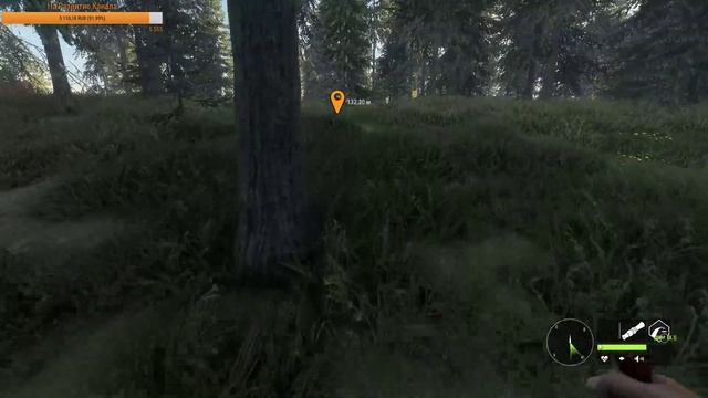 theHunter Call of the Wild #9 СТРИМ ? - Заказник Хиршфельден - Трофейная Охота (Часть 1) смотреть онлайн