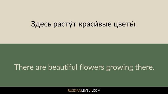 3-Hour Russian Vocabulary Course: Learn 500 Russian Words for Beginners (with Pictures) смотреть онлайн