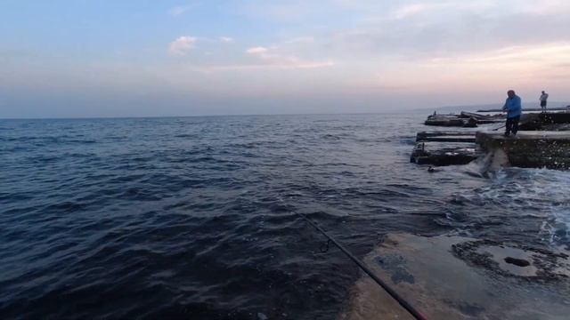 Рыбалка на ставриду в конце октября. Ставрида на самодур. Ставрида как ловить. Снасть на ставриду. смотреть онлайн