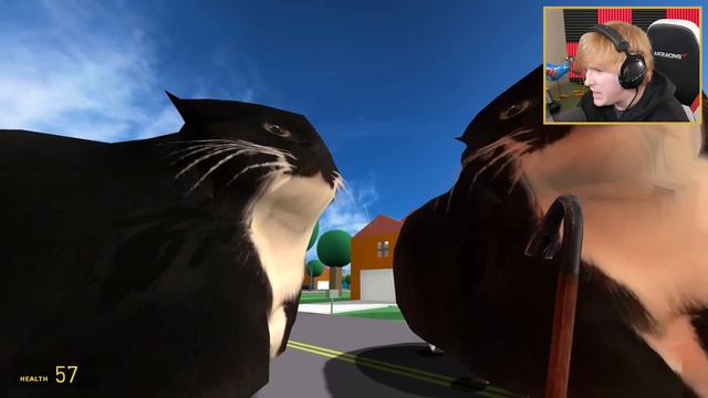 MAXWELL THE CAT is cursed... (HELP!) смотреть онлайн