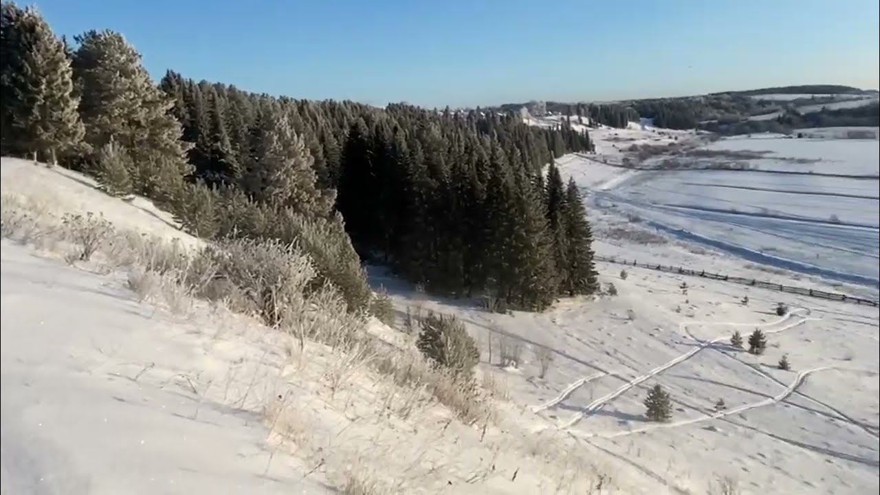 Царь гора))) смотреть онлайн