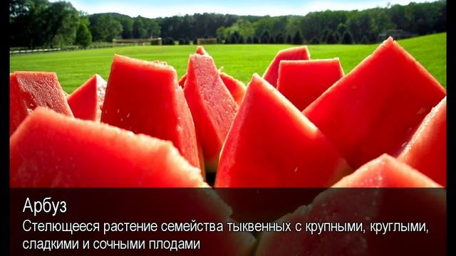Арбуз. Толковый Видеословарь русского языка смотреть онлайн