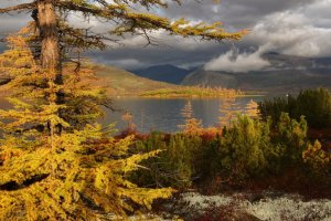 Природа Сибири. Осень.