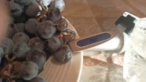 ИЗМЕРЯЕМ САХАР В ВИНЕ.