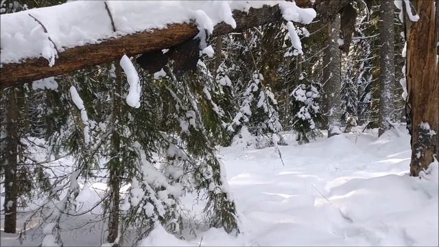 Meiko lake, Kirkkonummi, Finland/ yellow route / Зимняя прогулка, Мейко, Киркконумми, Финляндия смотреть онлайн