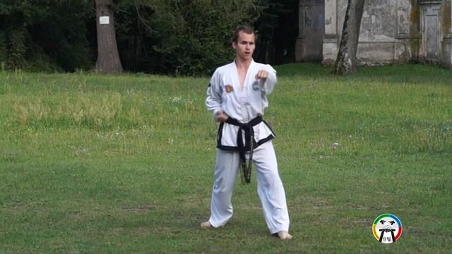 Обучение Хва-Ранг туля(вид спереди), Taekwondo Hwa-Rang (front) смотреть онлайн