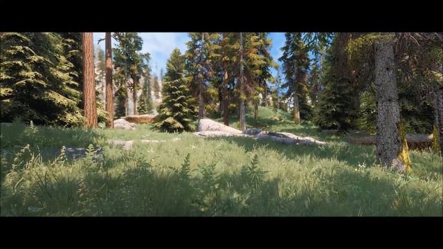SUSHi ENB Showcase смотреть онлайн