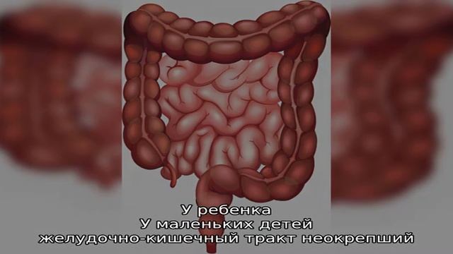 Можно ли есть гречку при поносе у ребенка или у взрослого смотреть онлайн